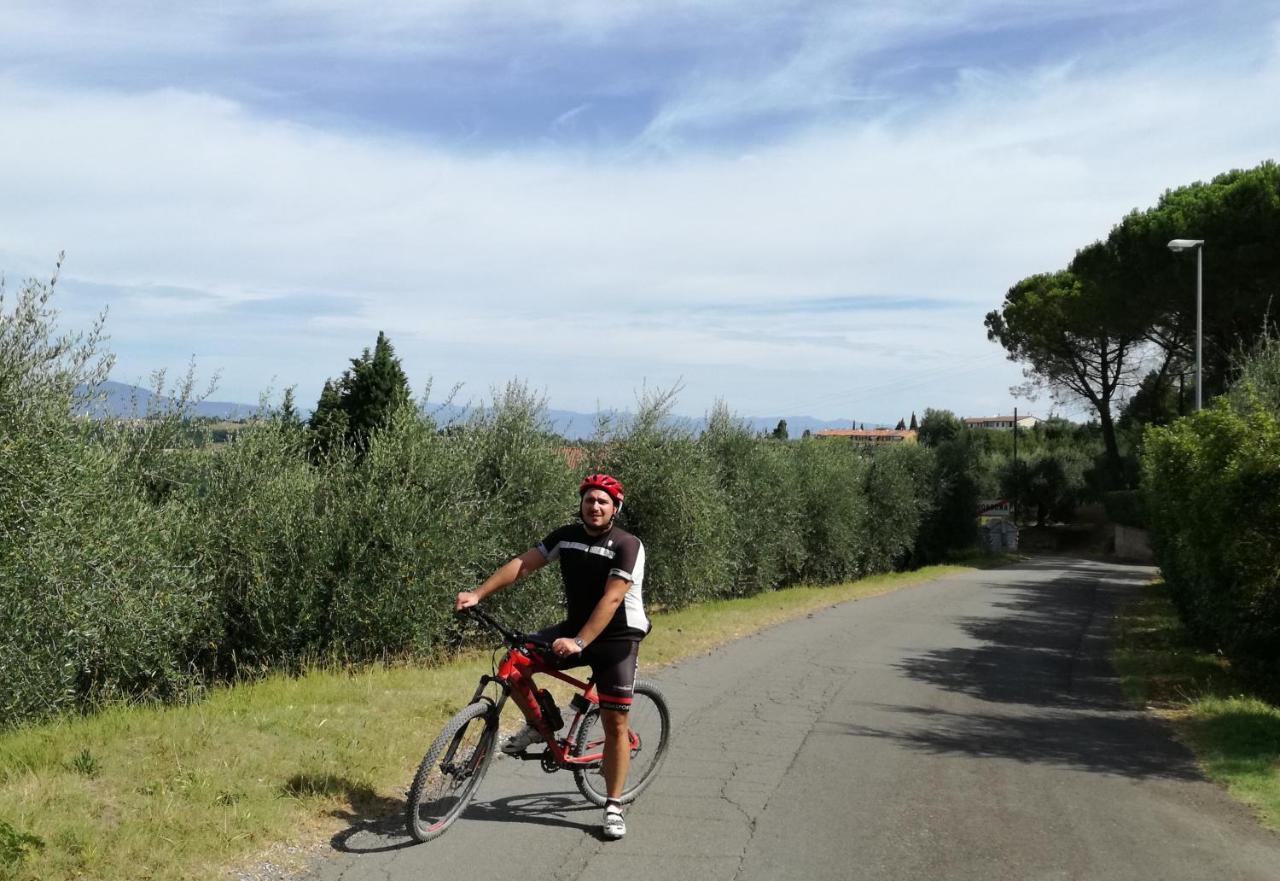 Tuscany Life Terricciola Luaran gambar