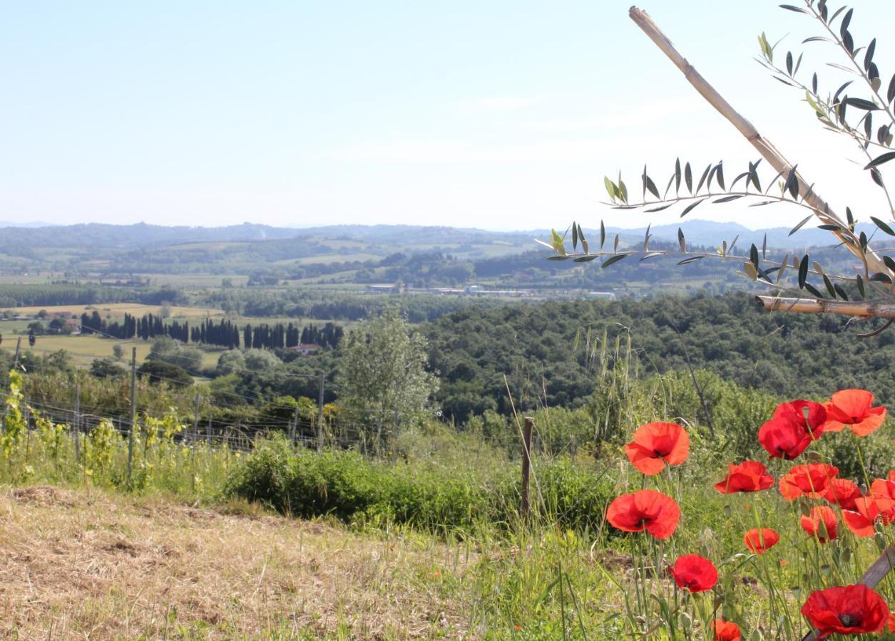 Tuscany Life Terricciola Luaran gambar